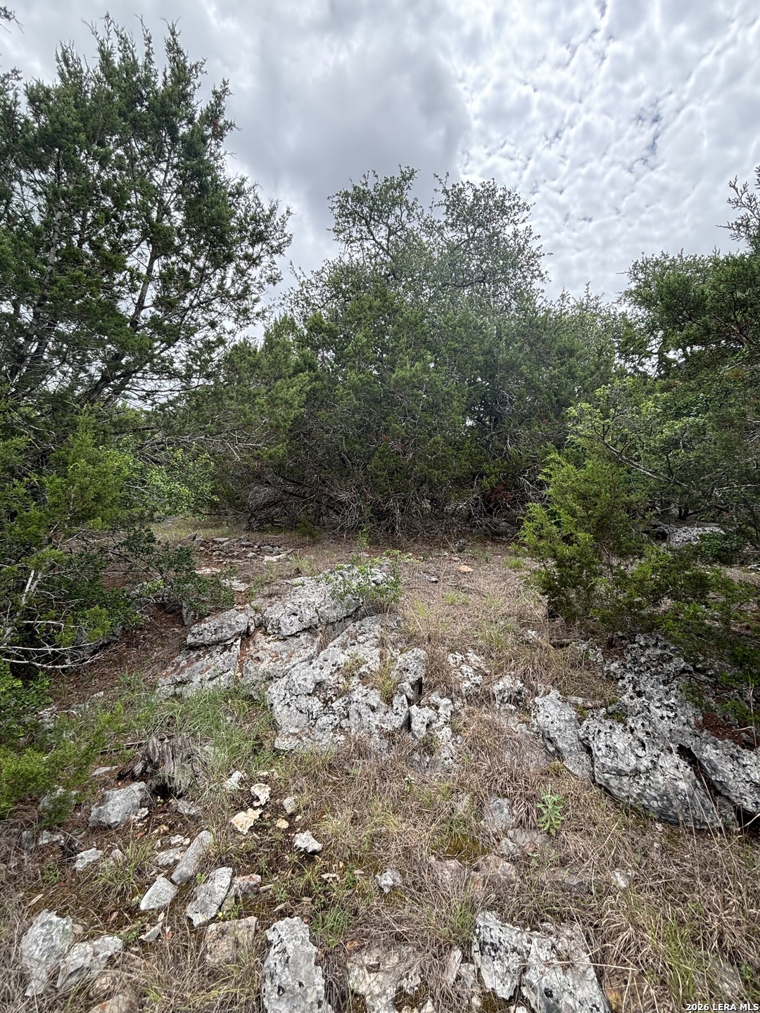 1328 Powder Ridge Road New Braunfels TX 78132