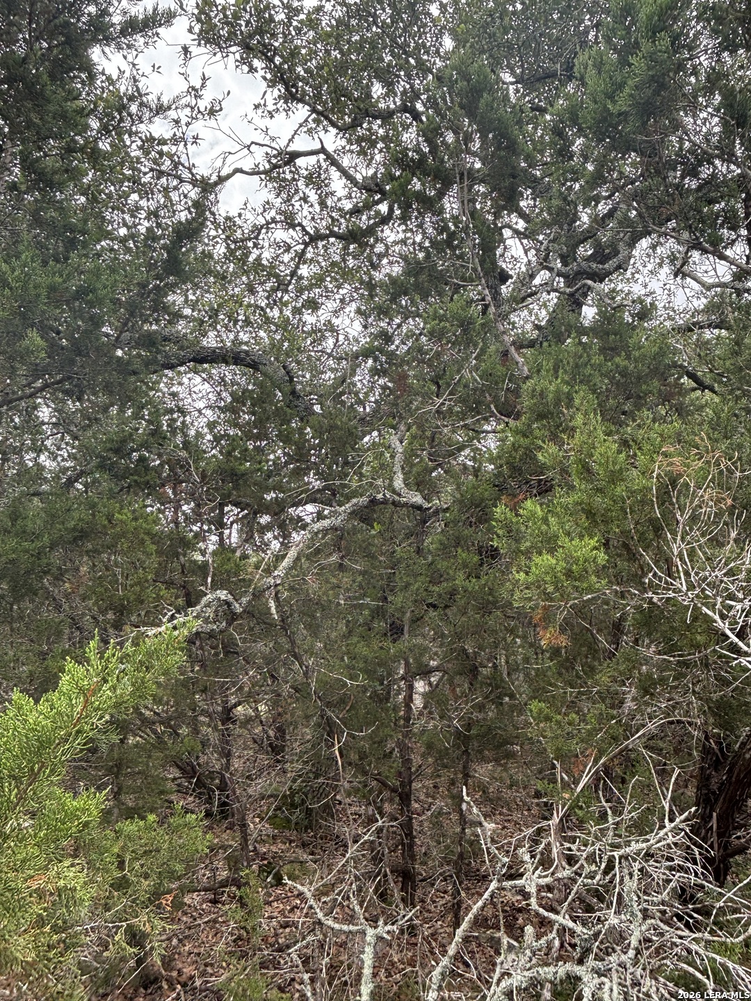 1328 Powder Ridge Road New Braunfels TX 78132