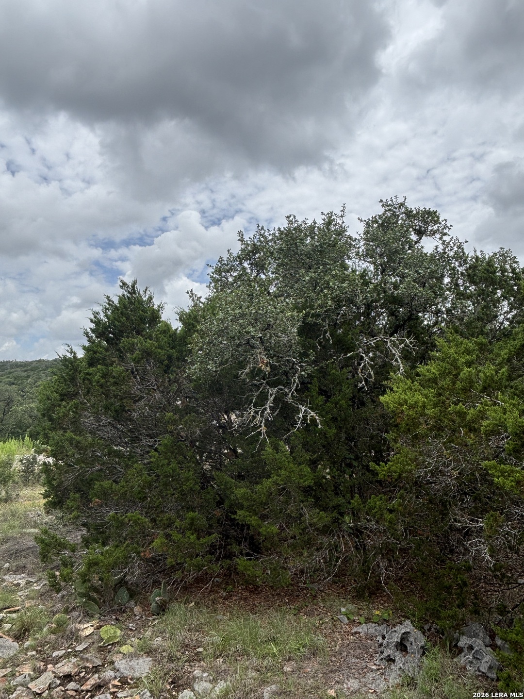 1328 Powder Ridge Road New Braunfels TX 78132