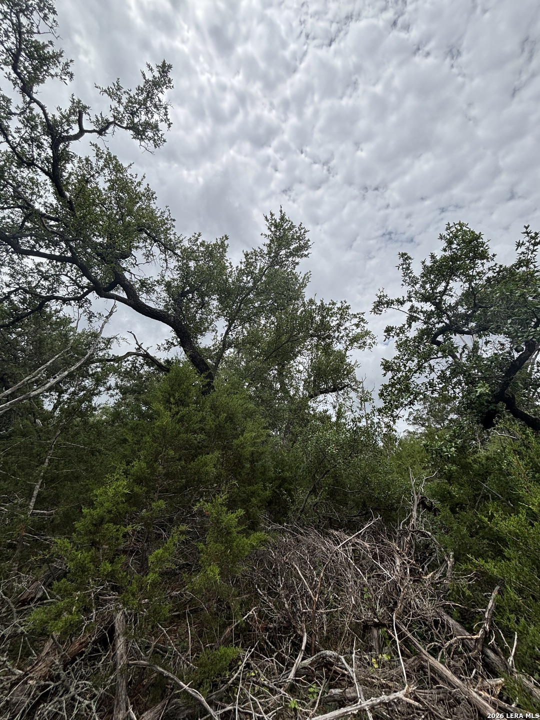 1328 Powder Ridge Road New Braunfels TX 78132