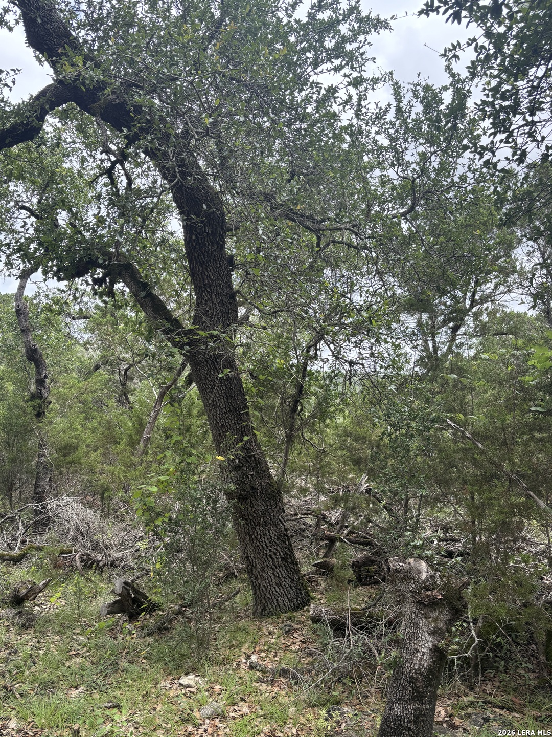 1328 Powder Ridge Road New Braunfels TX 78132