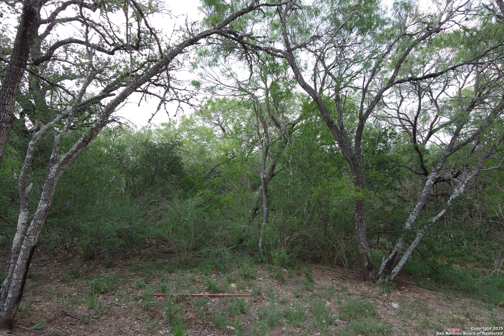 9459 Crow Adkins TX 78101