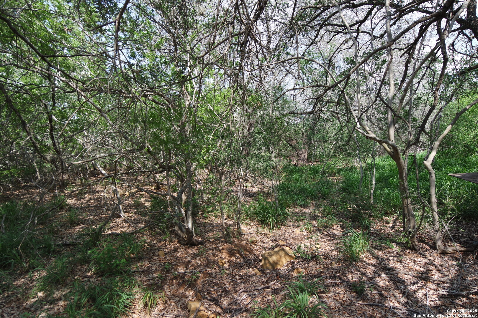 9459 Crow Adkins TX 78101
