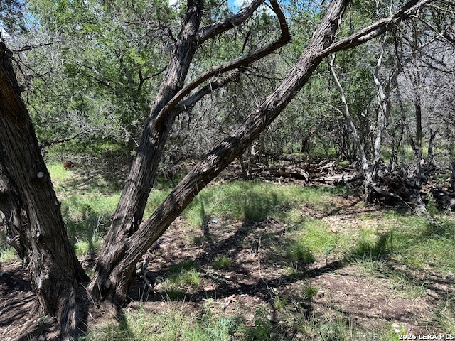 533 Squirrel Bend Uvalde TX 78801