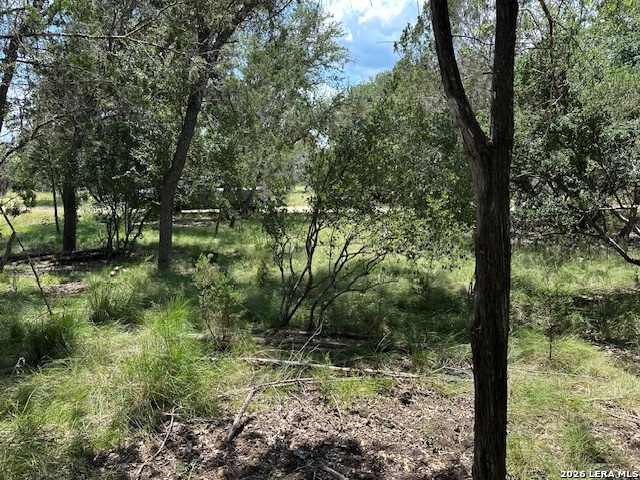 533 Squirrel Bend Uvalde TX 78801