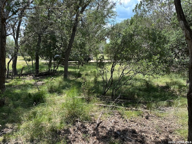 533 Squirrel Bend Uvalde TX 78801