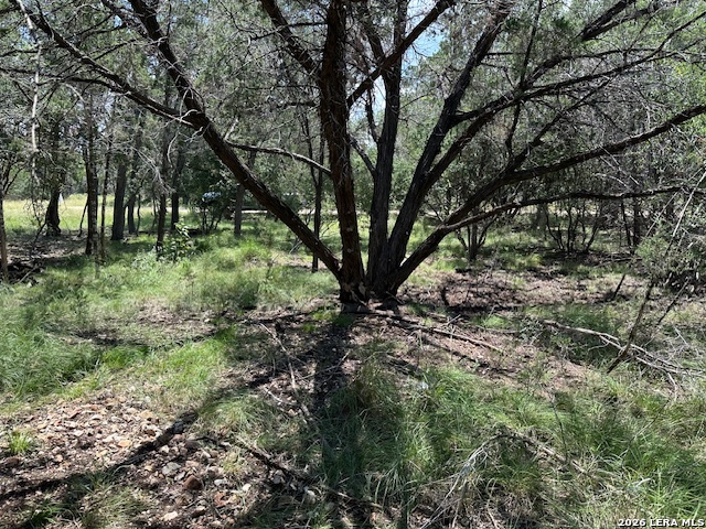 533 Squirrel Bend Uvalde TX 78801