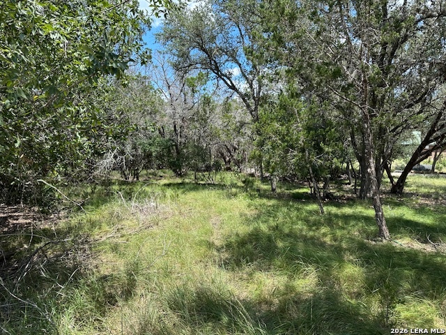 533 Squirrel Bend Uvalde TX 78801