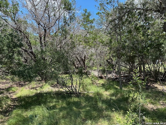 533 Squirrel Bend Uvalde TX 78801