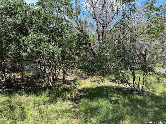 533 Squirrel Bend Uvalde TX 78801