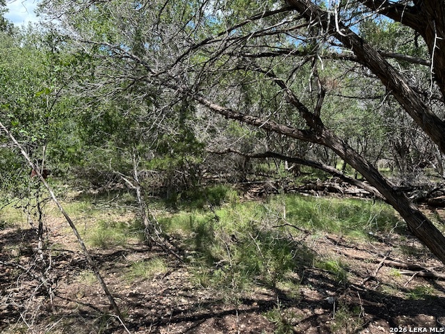 533 Squirrel Bend Uvalde TX 78801