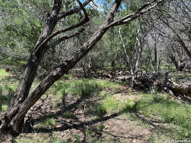 533 Squirrel Bend Uvalde TX 78801