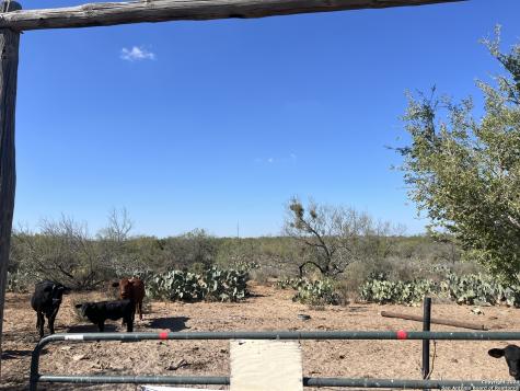 0 Saenz Road Carrizo Springs TX 78834