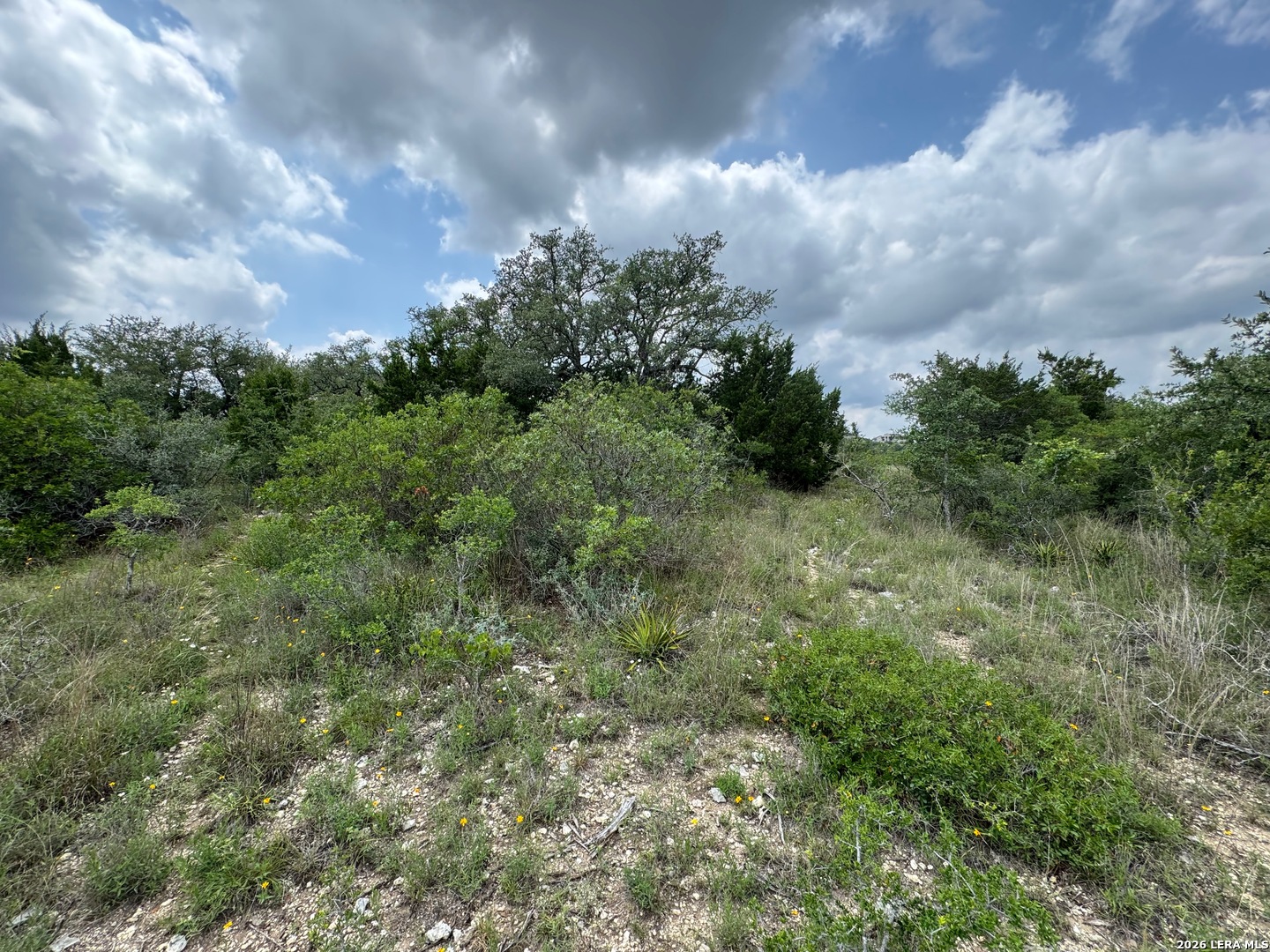 23107 Norfolk Canyon San Antonio TX 78255