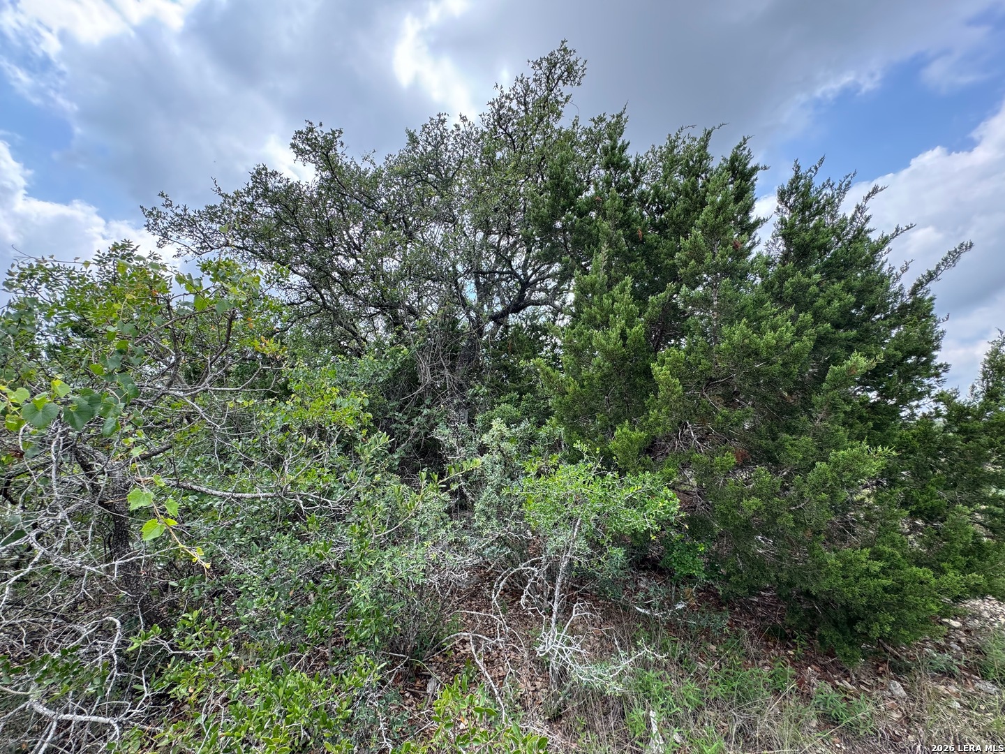 23107 Norfolk Canyon San Antonio TX 78255