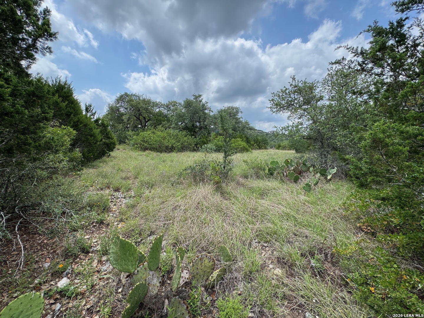 23107 Norfolk Canyon San Antonio TX 78255