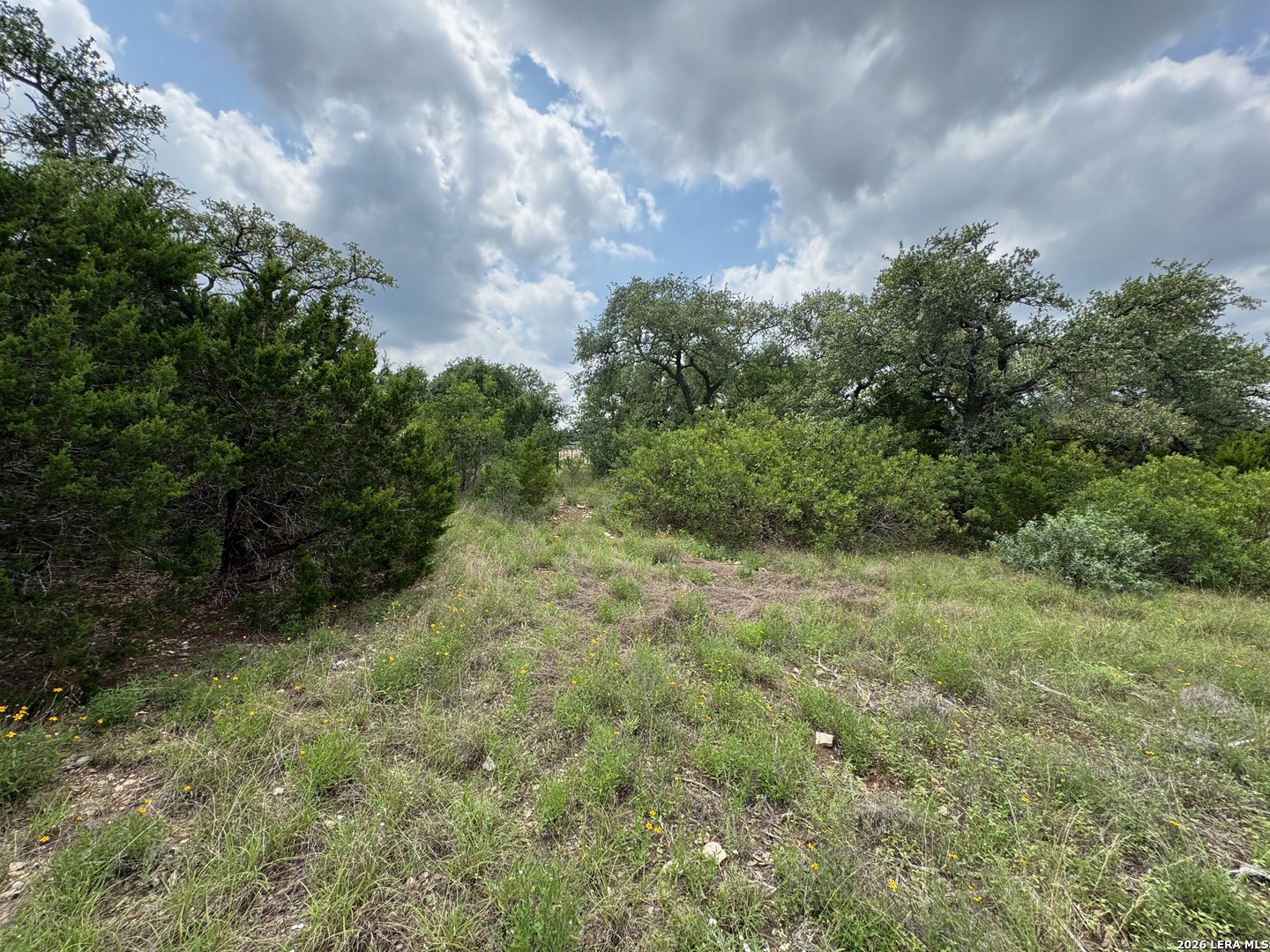 23107 Norfolk Canyon San Antonio TX 78255
