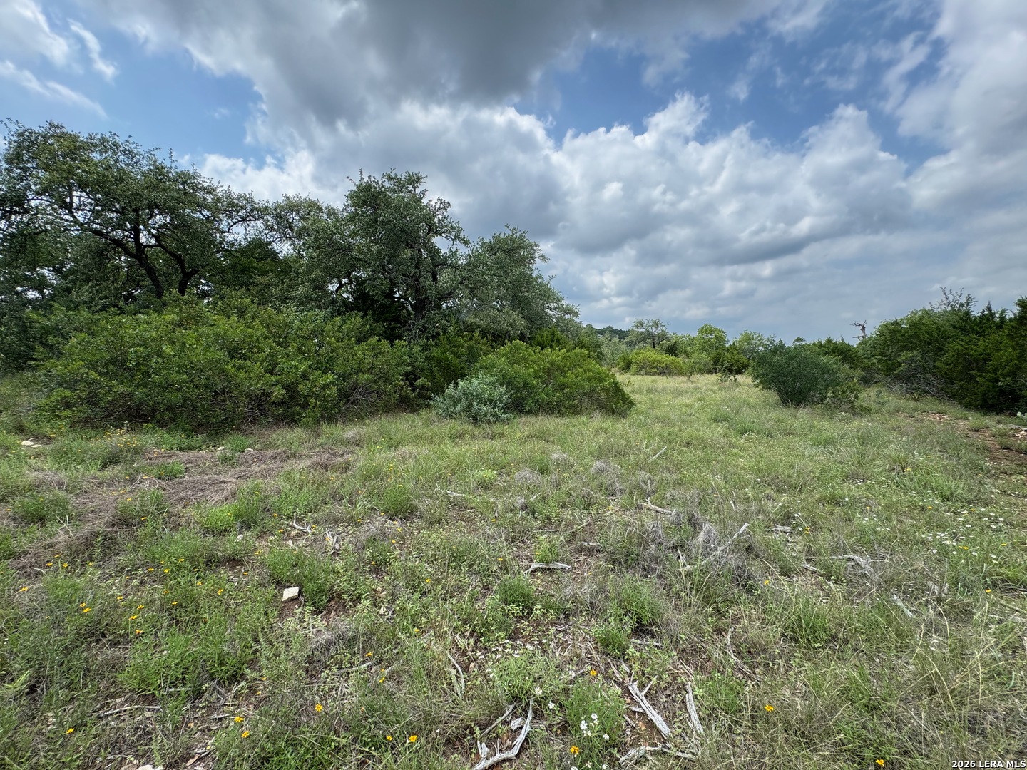 23107 Norfolk Canyon San Antonio TX 78255