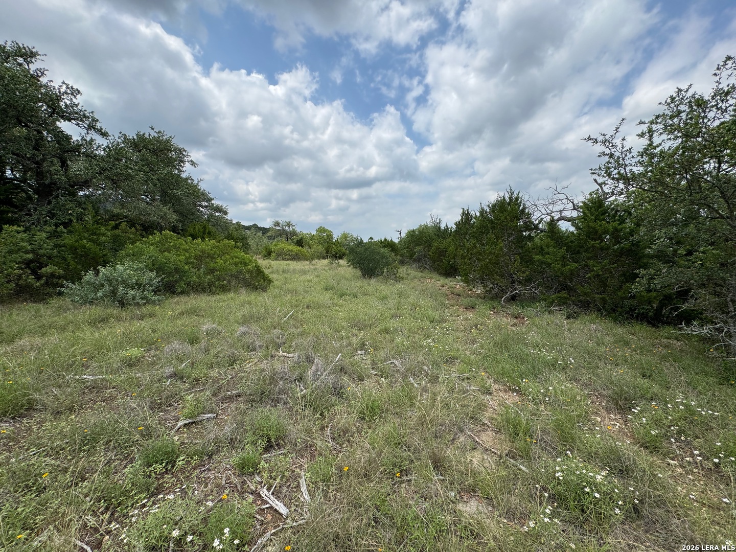 23107 Norfolk Canyon San Antonio TX 78255