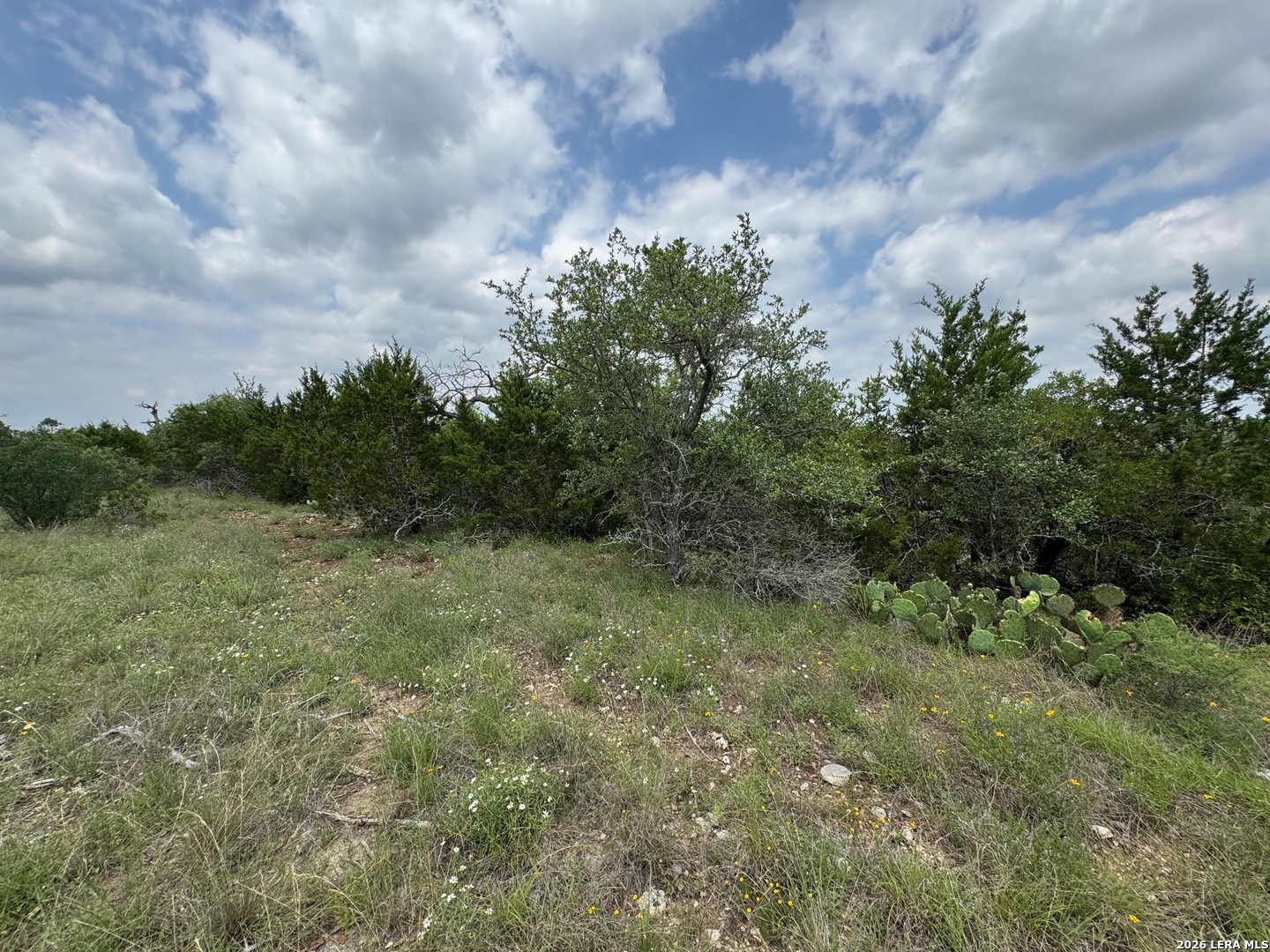23107 Norfolk Canyon San Antonio TX 78255