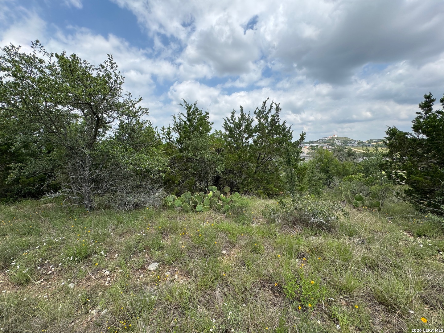 23107 Norfolk Canyon San Antonio TX 78255