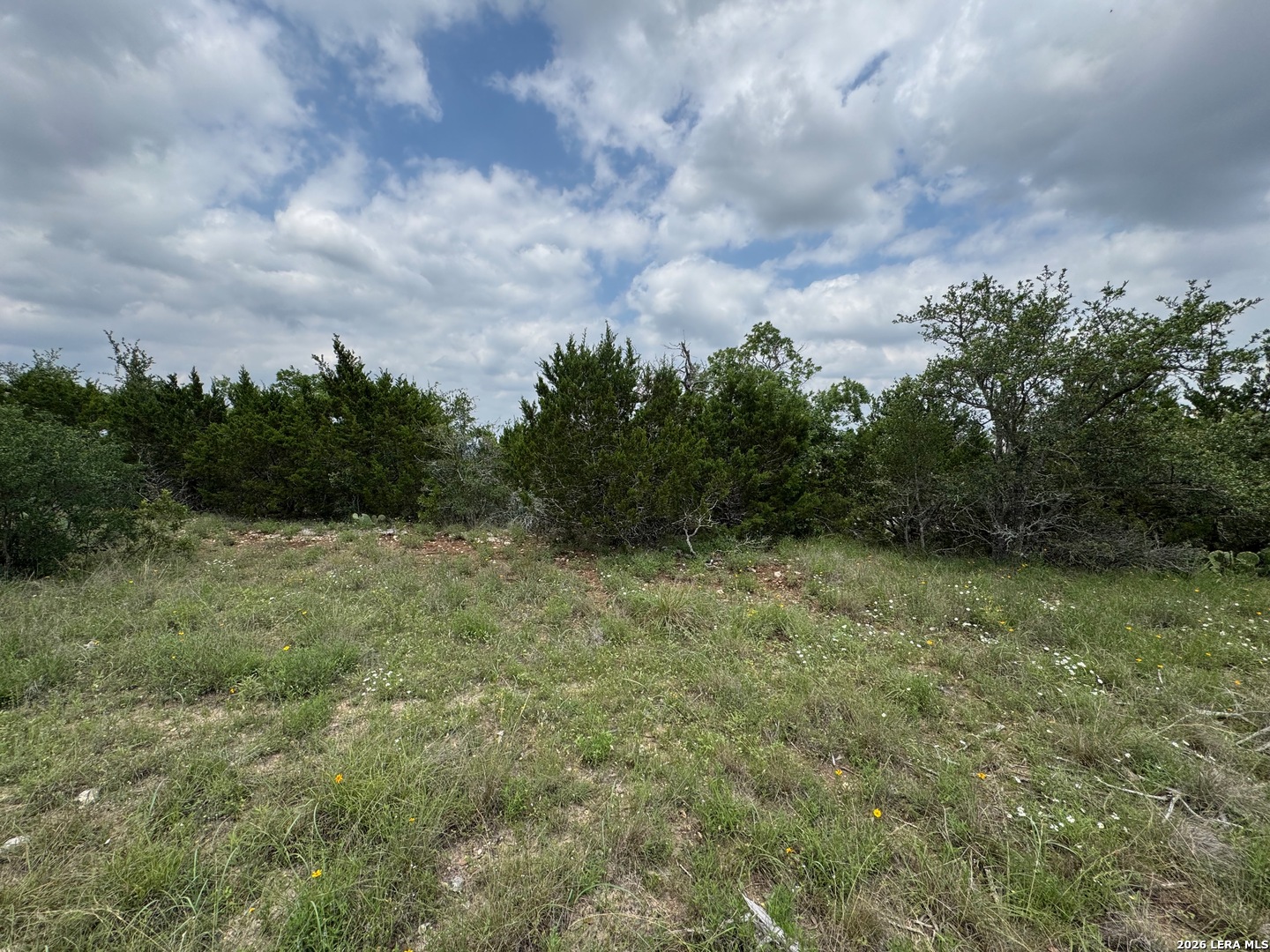 23107 Norfolk Canyon San Antonio TX 78255