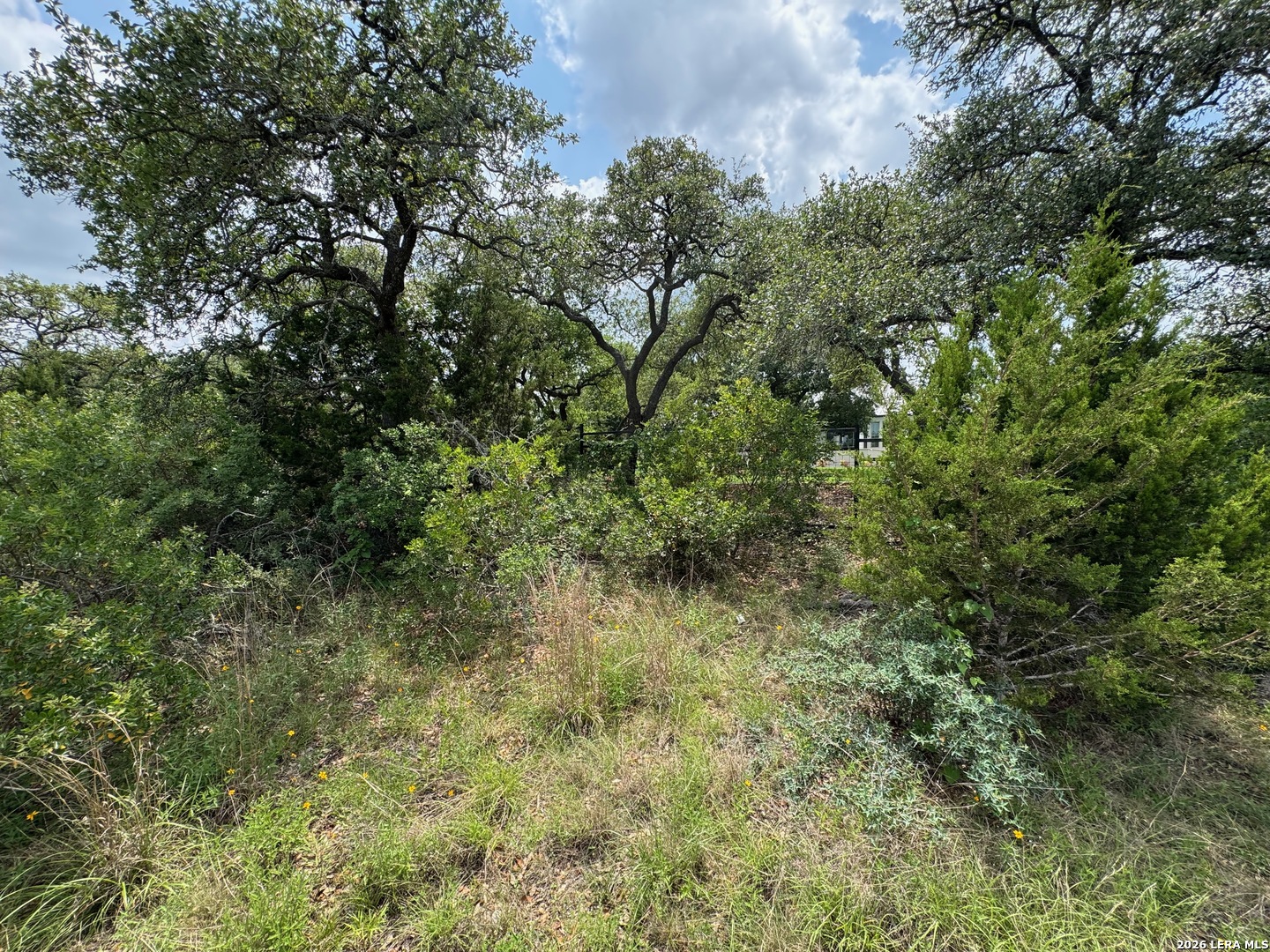 23107 Norfolk Canyon San Antonio TX 78255
