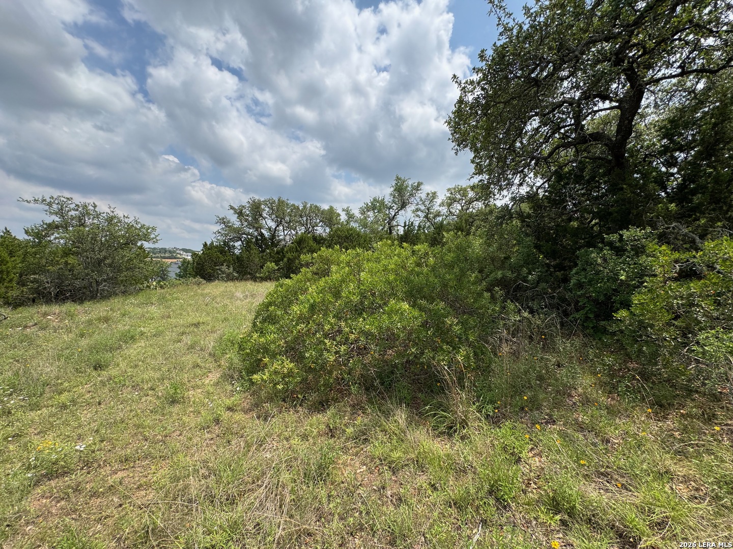 23107 Norfolk Canyon San Antonio TX 78255