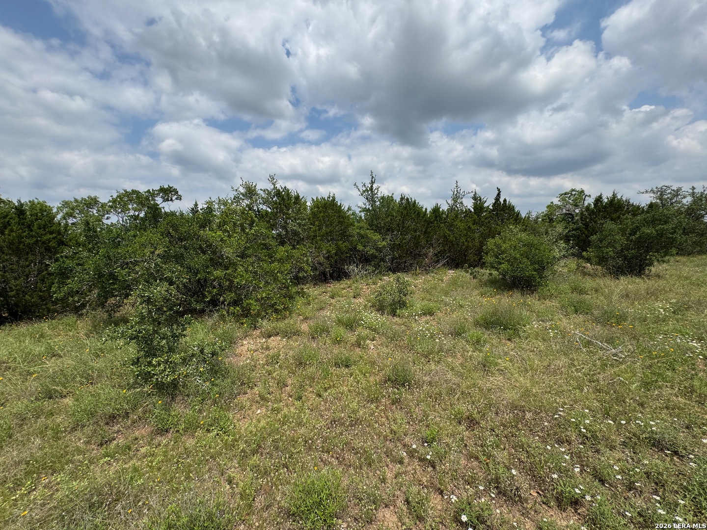 23107 Norfolk Canyon San Antonio TX 78255
