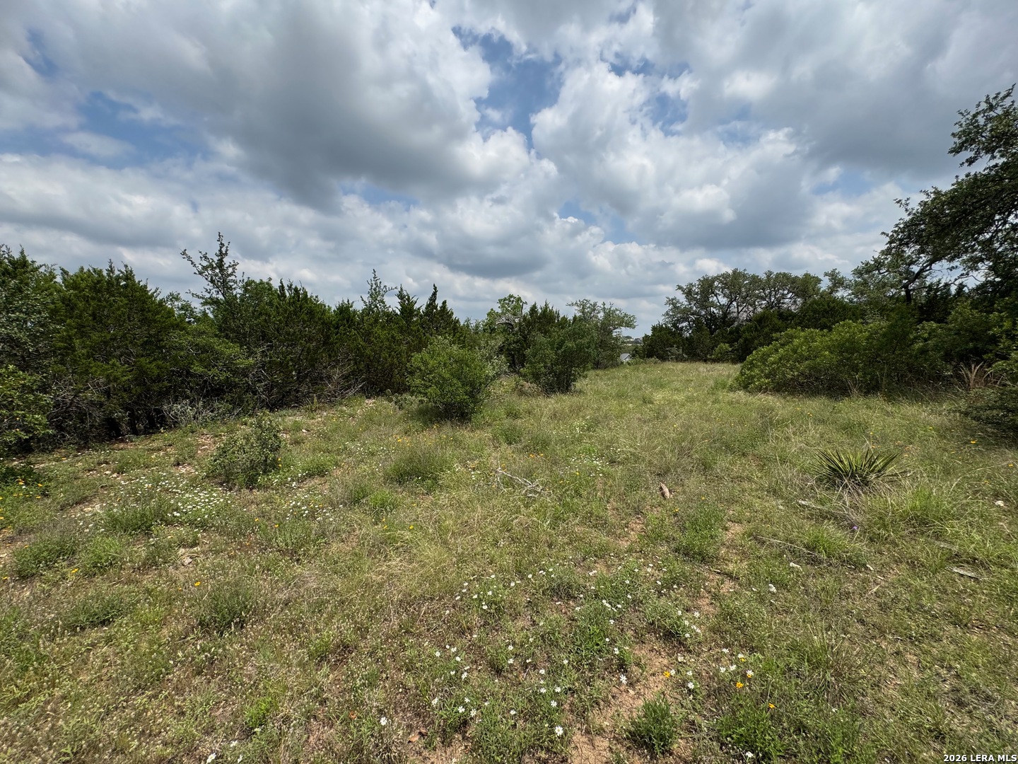 23107 Norfolk Canyon San Antonio TX 78255