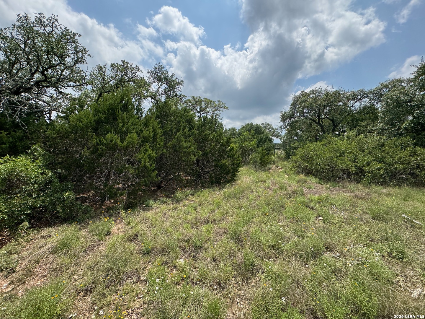 23107 Norfolk Canyon San Antonio TX 78255