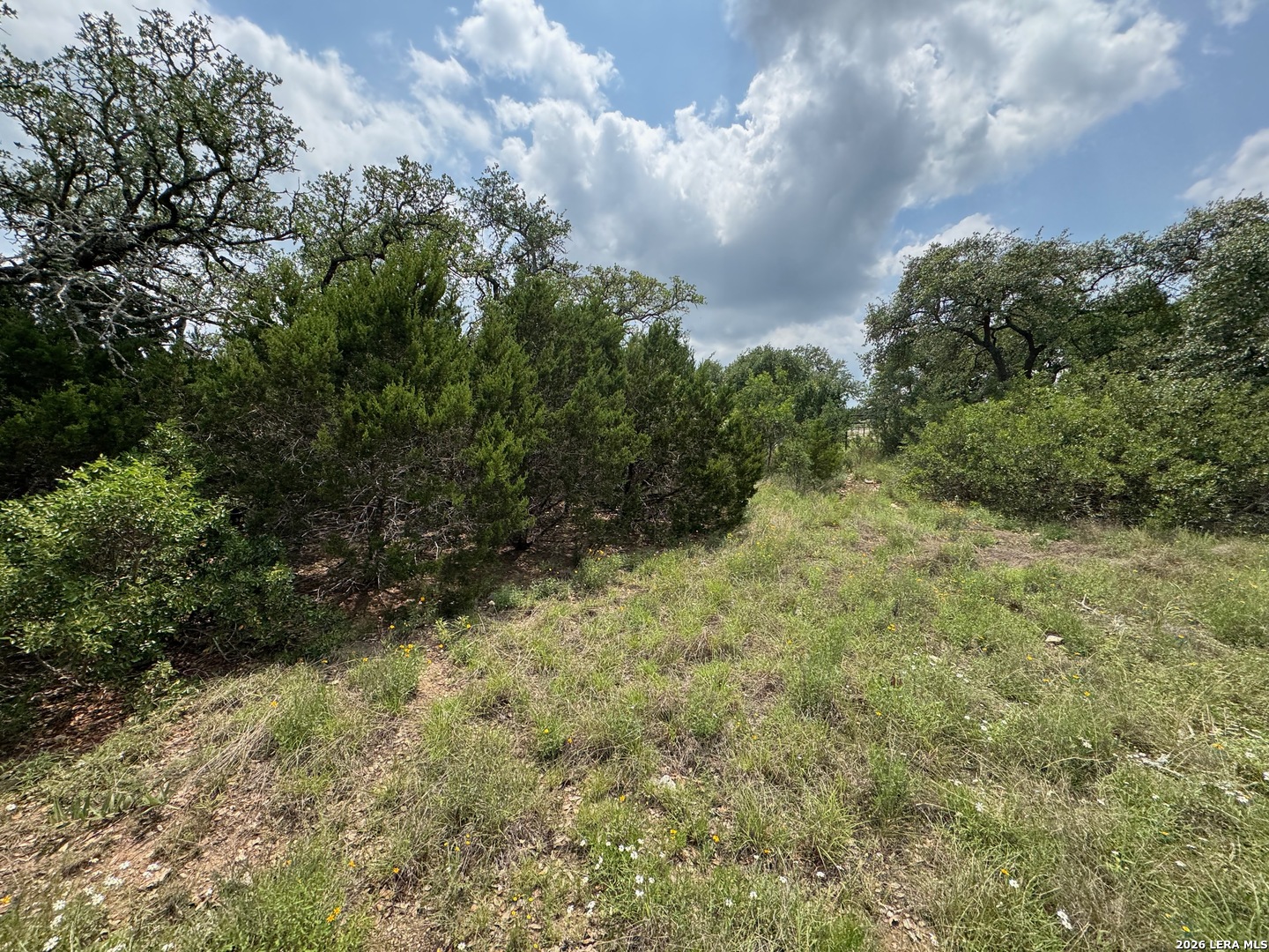 23107 Norfolk Canyon San Antonio TX 78255
