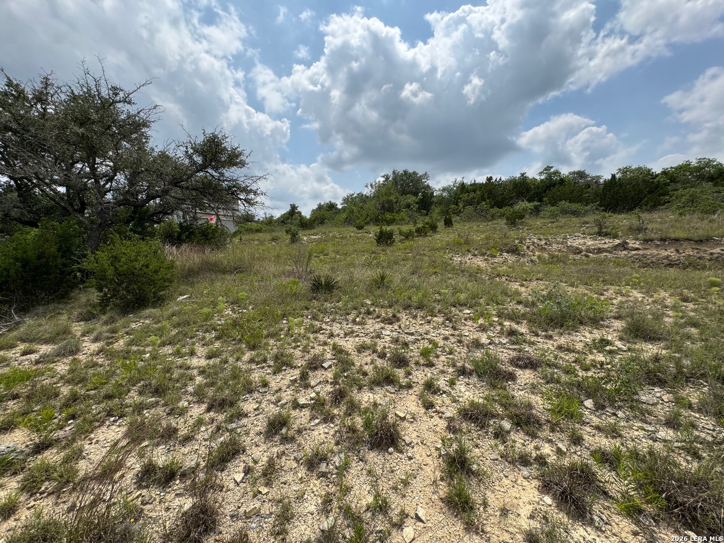 23107 Norfolk Canyon San Antonio TX 78255