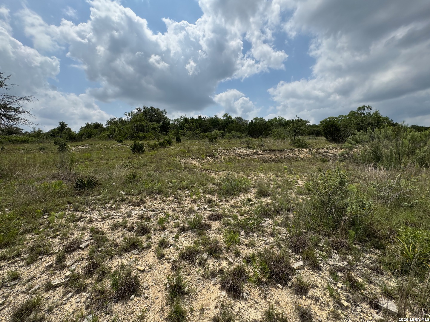 23107 Norfolk Canyon San Antonio TX 78255