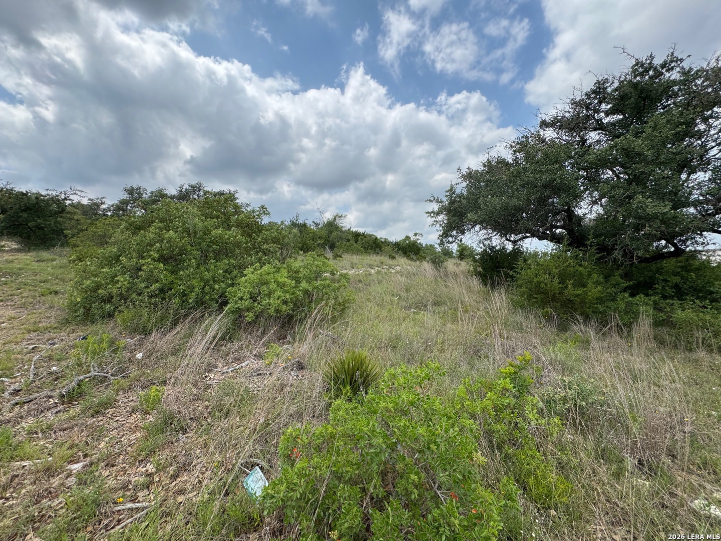 23107 Norfolk Canyon San Antonio TX 78255