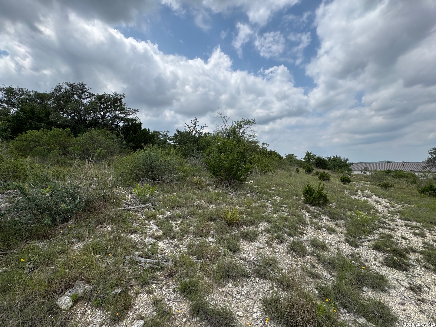 23107 Norfolk Canyon San Antonio TX 78255