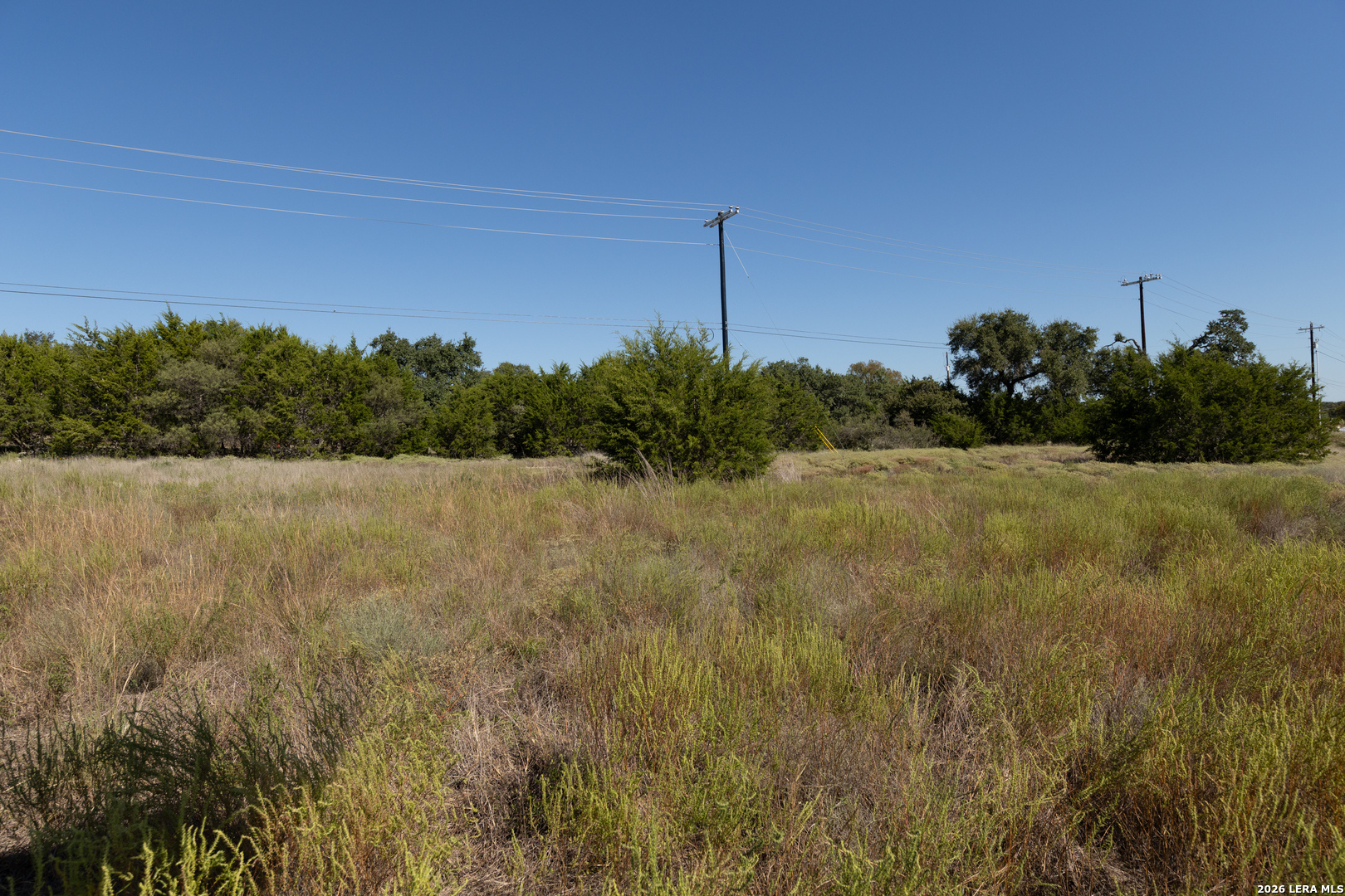 418 George Dolson Blanco TX 78606