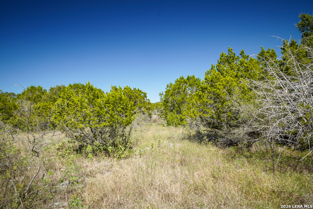 Tbd, Lot #65 County Road 2806 Mico TX 78056