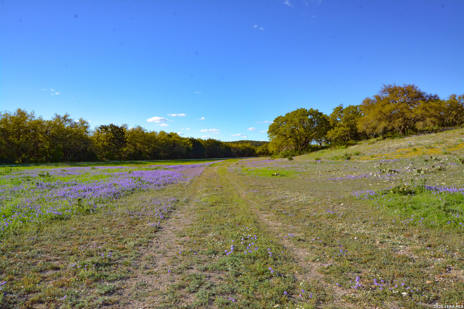 482 Wingert Road Junction TX 76849