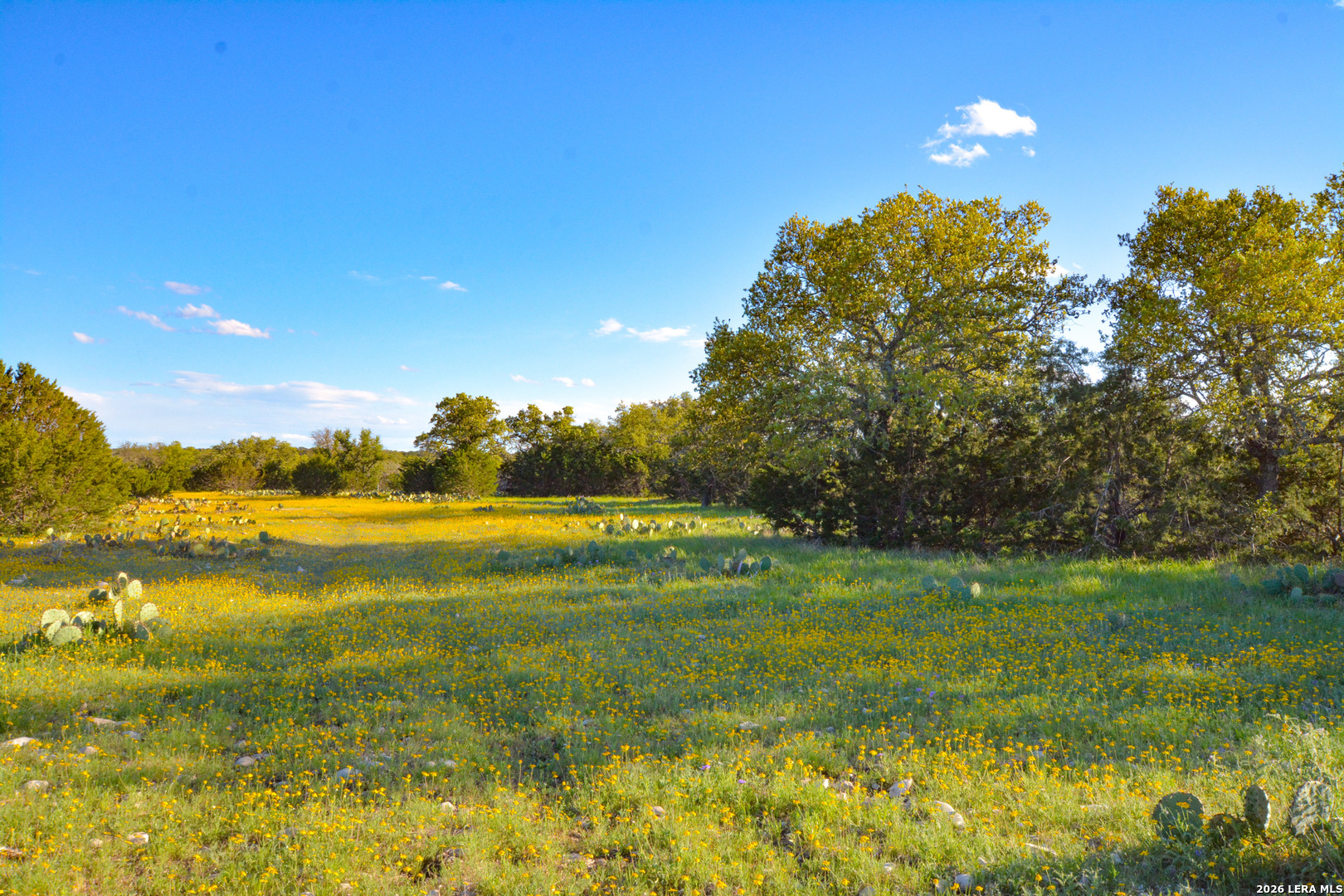 482 Wingert Road Junction TX 76849