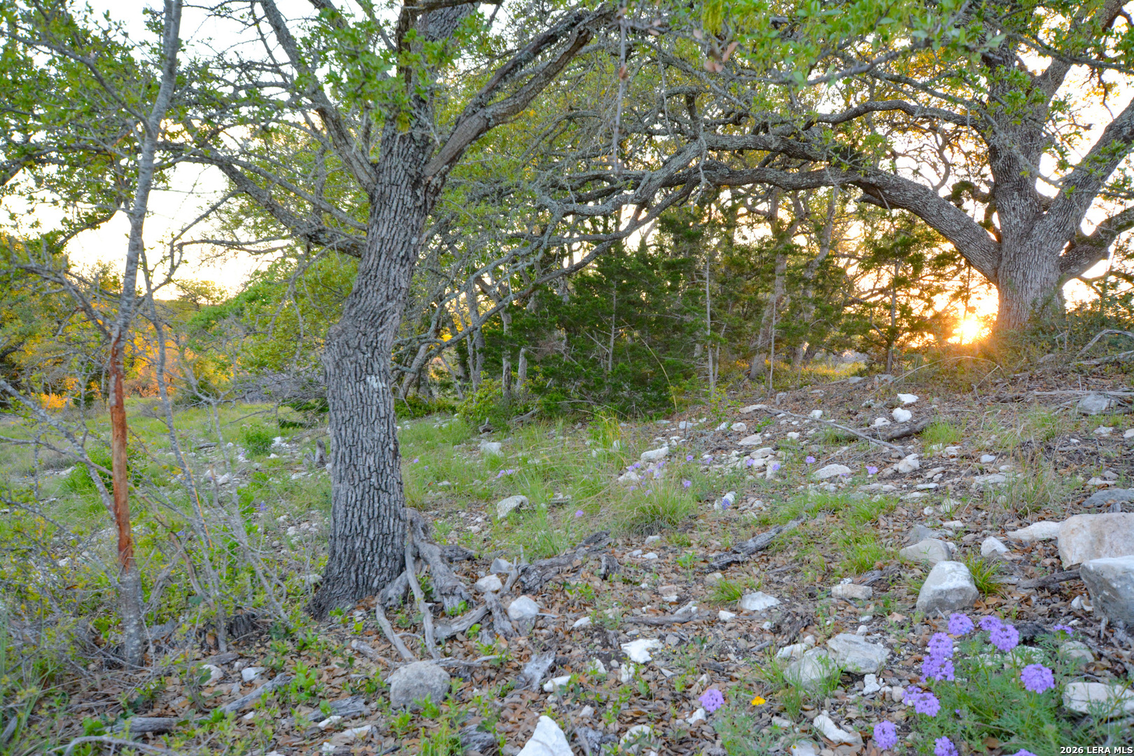 482 Wingert Road Junction TX 76849