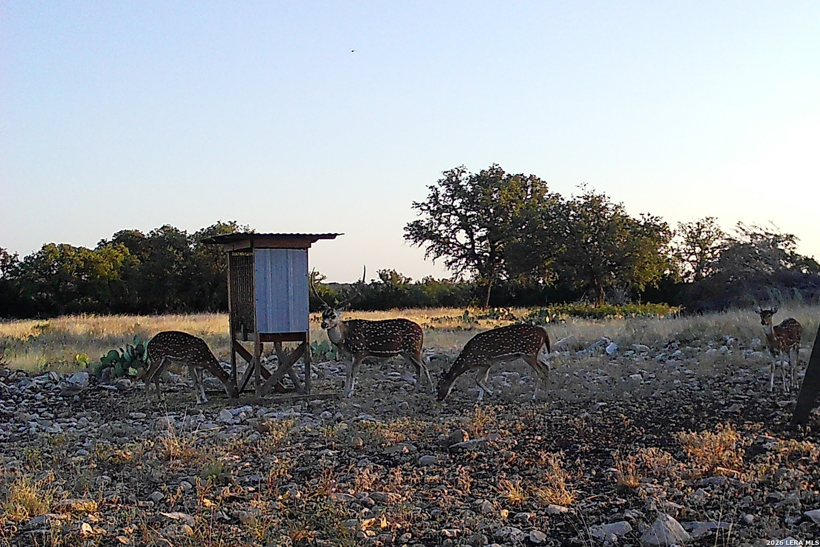 482 Wingert Road Junction TX 76849