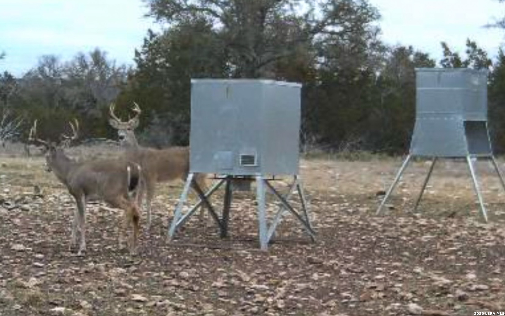 482 Wingert Road Junction TX 76849