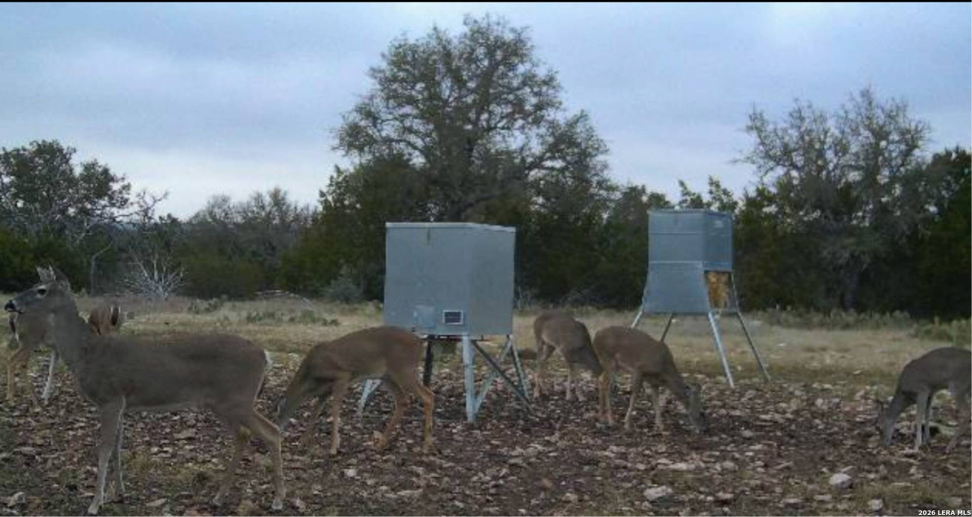 482 Wingert Road Junction TX 76849