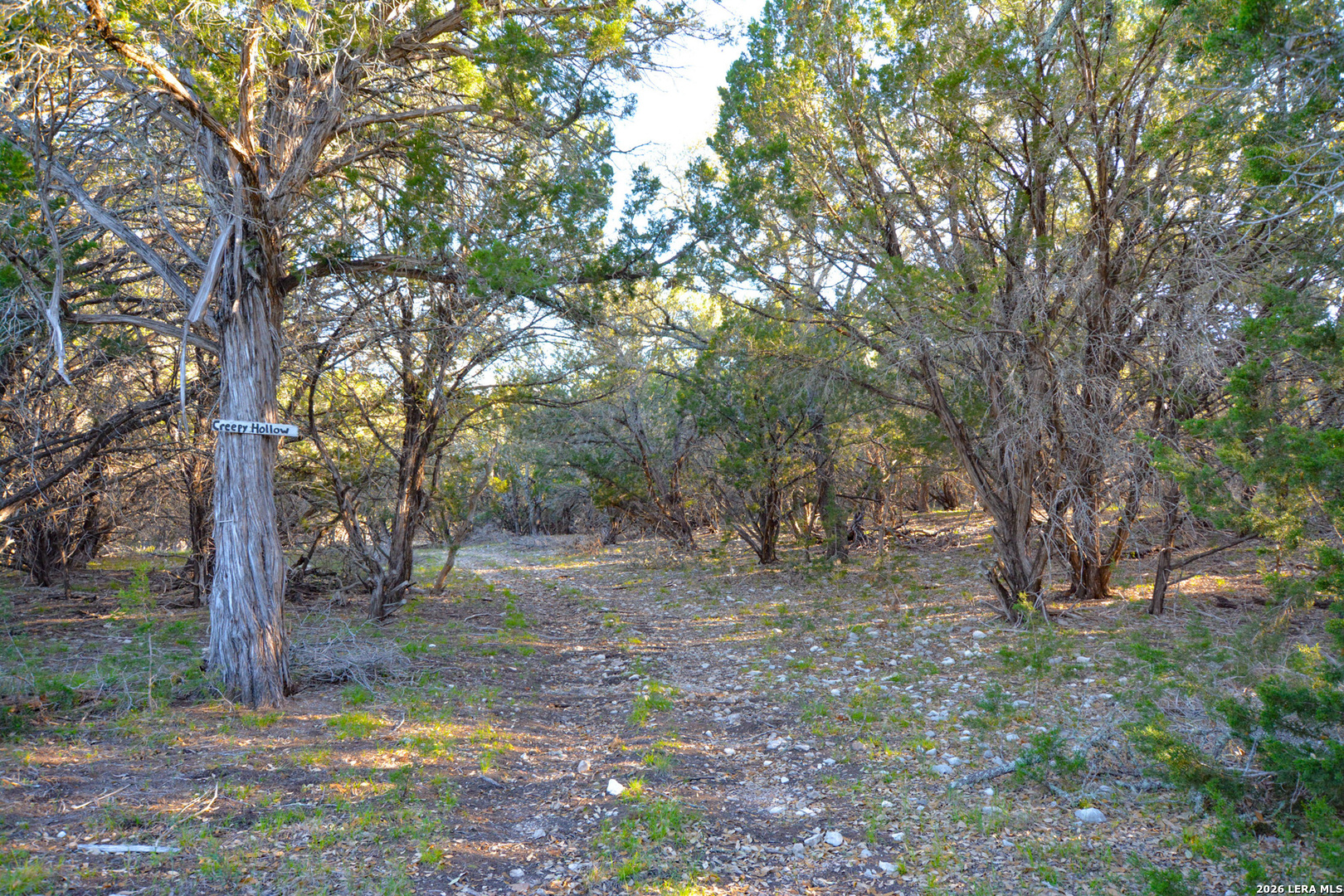 482 Wingert Road Junction TX 76849