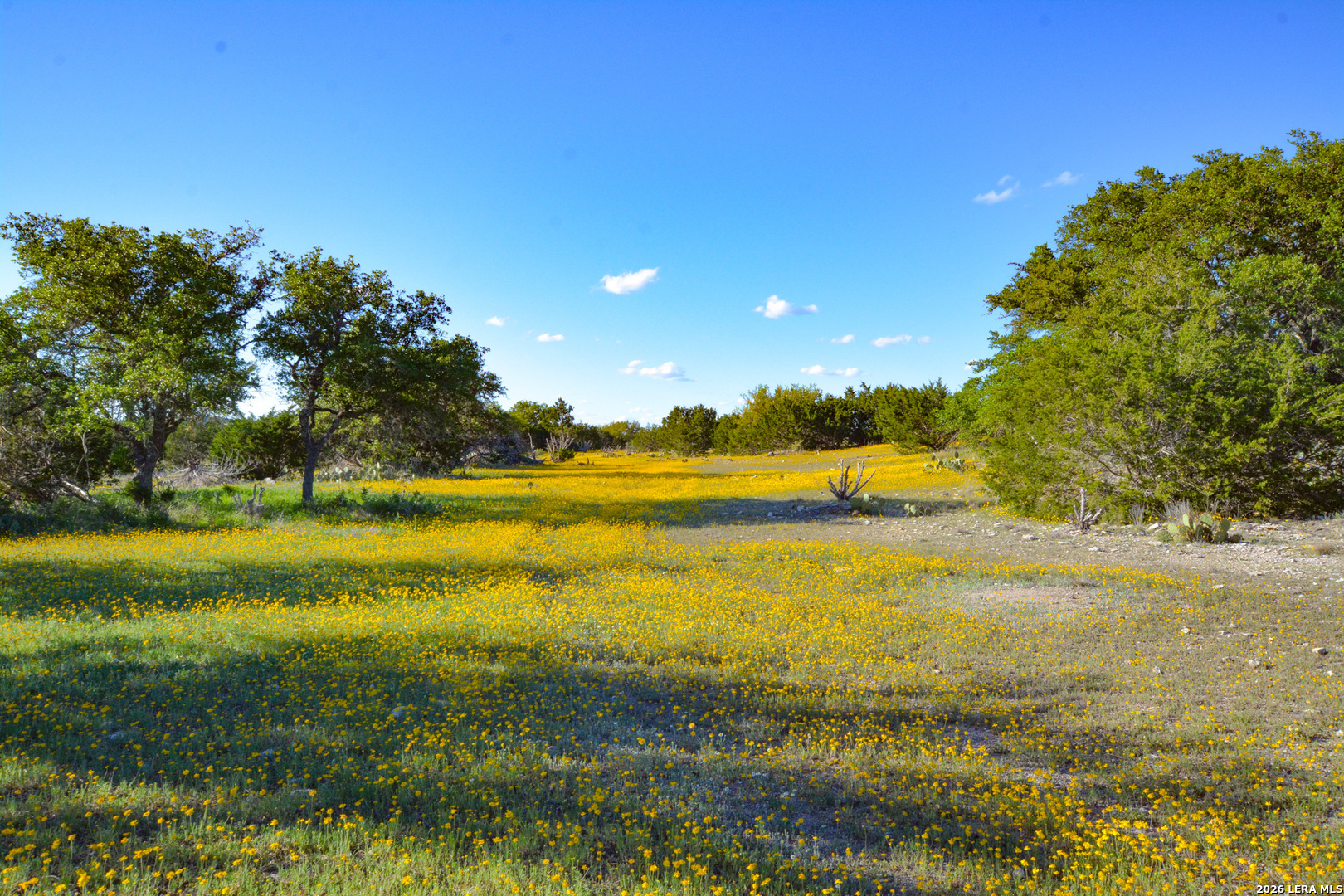 482 Wingert Road Junction TX 76849