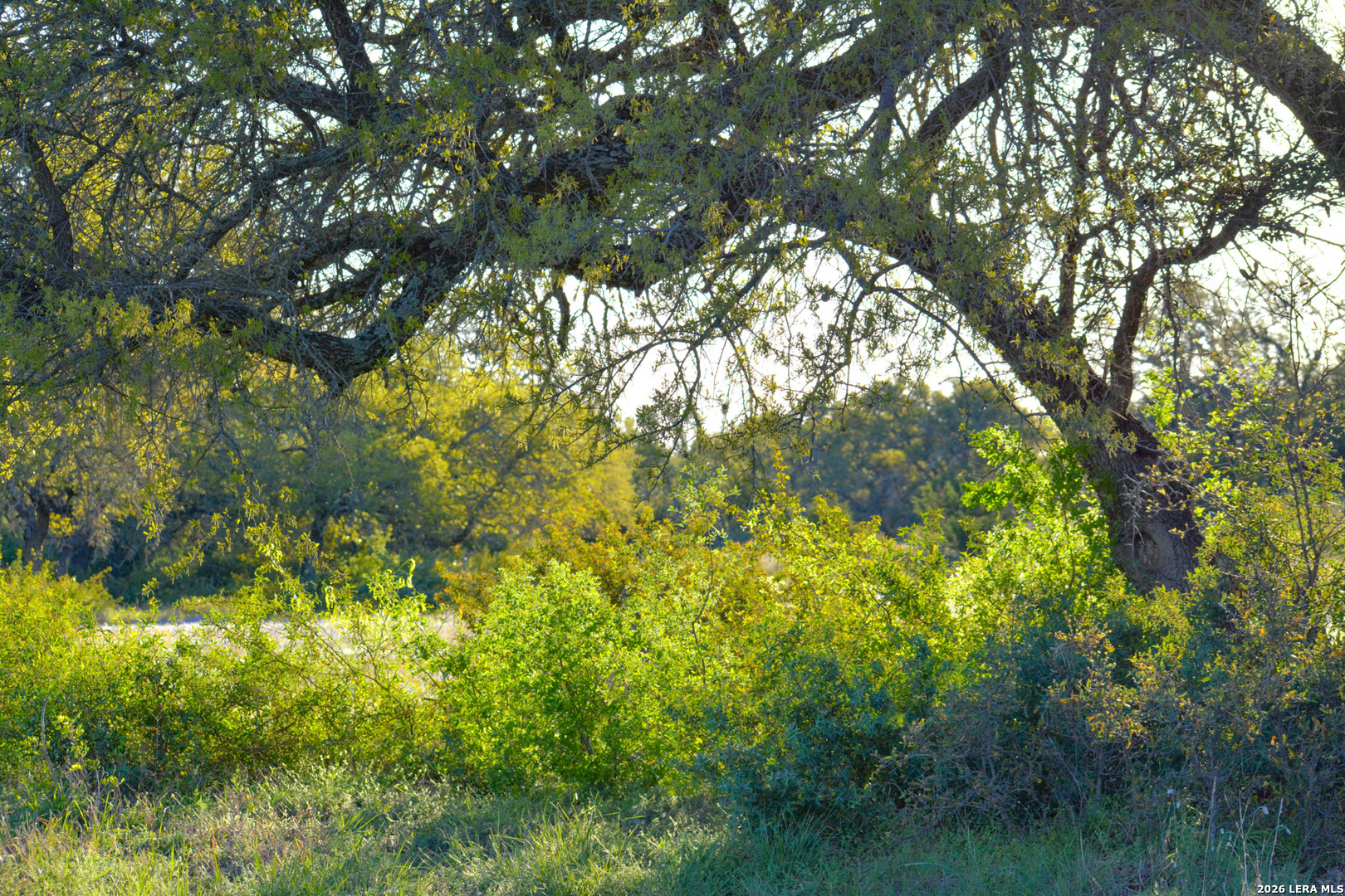 482 Wingert Road Junction TX 76849