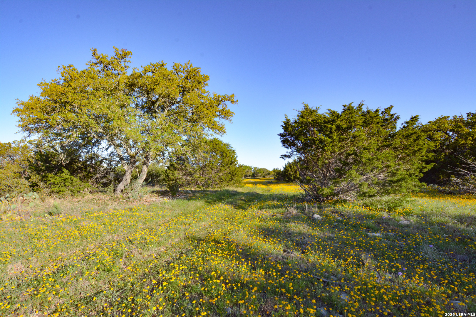 482 Wingert Road Junction TX 76849