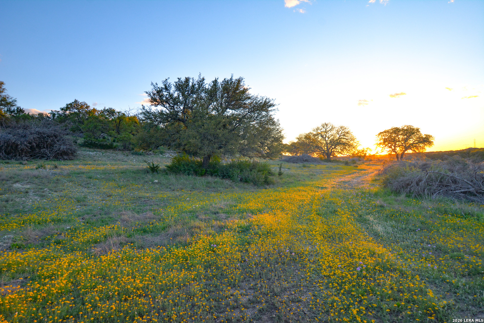 482 Wingert Road Junction TX 76849