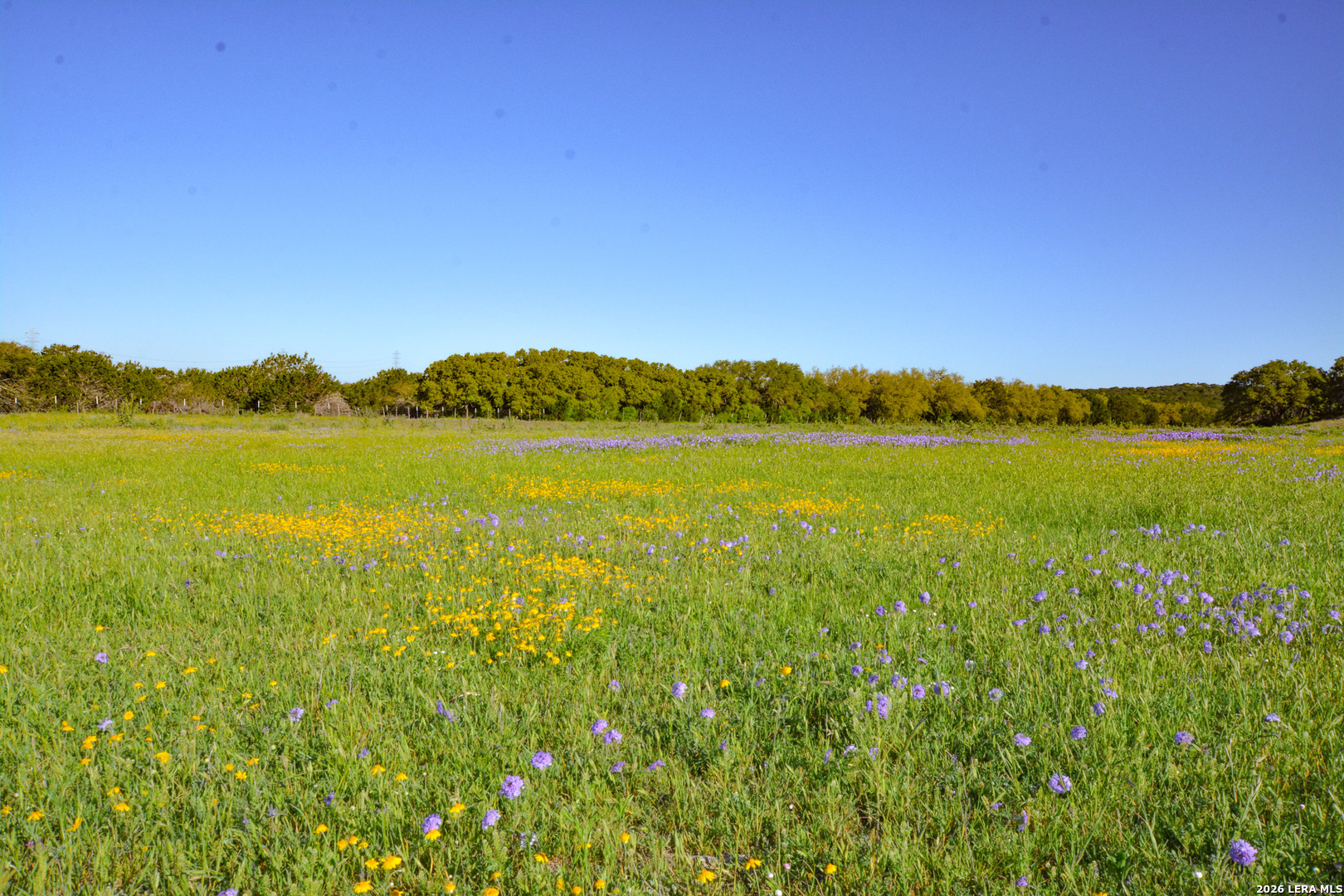 482 Wingert Road Junction TX 76849